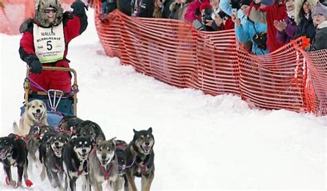 With snow absent, fate of North Shore’s John Beargrease sled dog race is uncertain